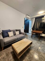 Hyll On Holland (D10), Condominium #457539181